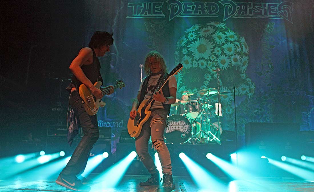 thedeaddaisies22e