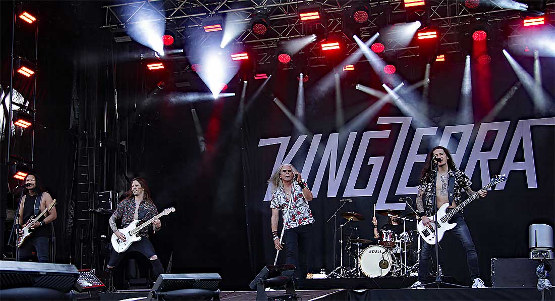 kingzebra