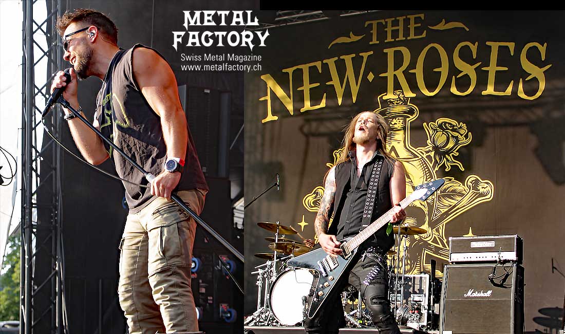 thenewroses