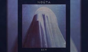NOETA – Elm