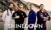 SHINEDOWN – Vom Camping aus direkt in die Pandemie hinein