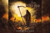 DEAD SUN – This Life Is A Grave