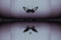 FROM AHES TO NEW – Reflections