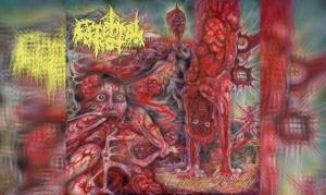 CEREBRAL ROT – Excretion Of Mortality