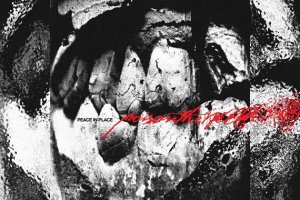 POISON THE WELL – Peace In Place