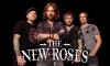 THE NEW ROSES – Ohne deutschen Akzent