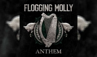 FLOGGING MOLLY – Anthem
