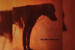STILL IN LOVE - Recovery Language