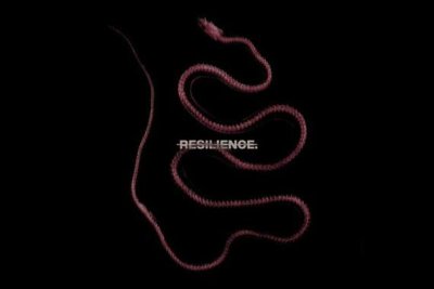 THROATCUT. – Resilience.