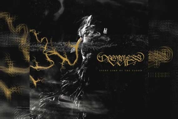 DREAMLESS VEIL – Every Limb Of The Flood