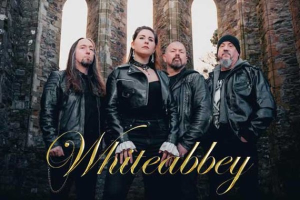 WHITEABBEY covern «Go Your Own Way» von Fleetwood Mac