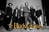 THE BLACK CROWES veröffentlichen Song «Cross Your Fingers» aus dem neuen Album «Happiness Bastards», das Mitte März &#039;24 kommt