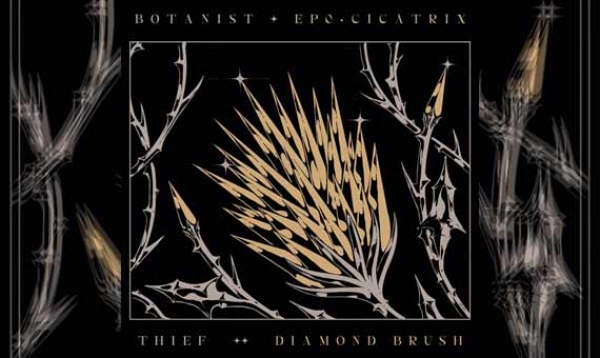BOTANIST / THIEF – Cicatrix / Diamond Brush