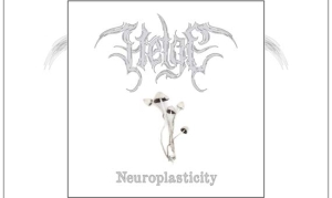 HELGE – Neuroplasticity
