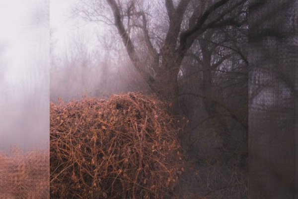 THE DEVIL’S TRADE - Nincs Szennyezetlen Szép