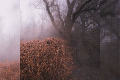 THE DEVIL'S TRADE - Nincs Szennyezetlen Szép