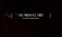 THE PINEAPPLE THIEF – The Soord Session Vol. 4