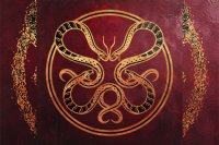 VICIOUS RAIN – The Anatomy Of Surviving