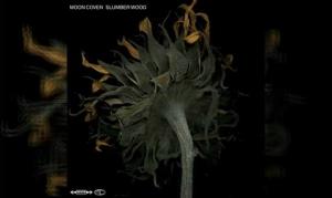 MOON COVEN – Slumber Wood