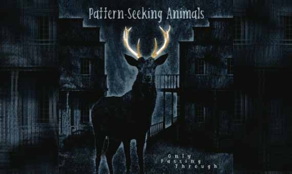 PATTERN-SEEKING ANIMALS – Only Passing Through