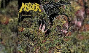 MOLDER – Engrossed In Decay